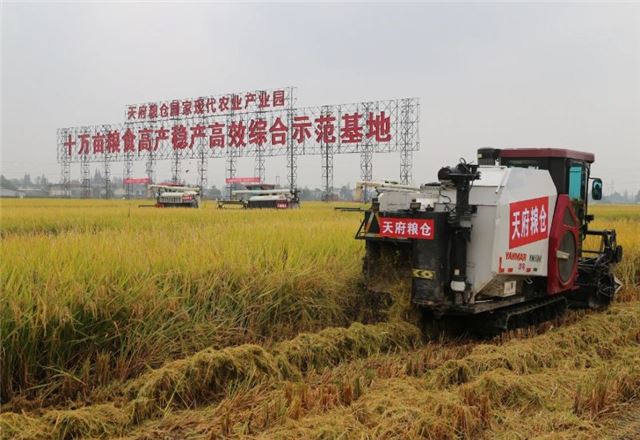 崇州市天府粮仓示范基地。农发行四川省分行供图