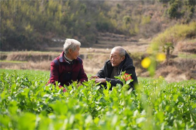 山沟沟里长出“绿银行”