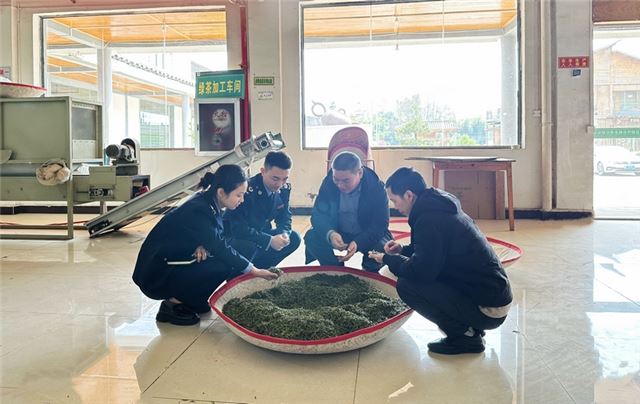 国家税务总局凤冈县税务局聚焦茶企发展需求，精准服务茶企。
