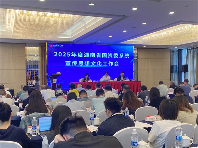 会议现场。人民网记者 向宇摄