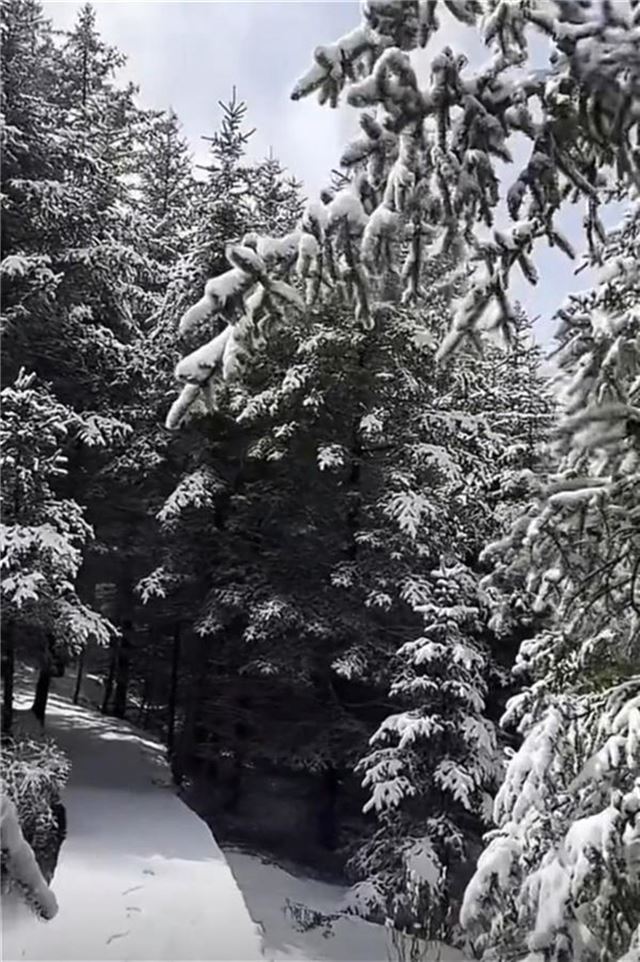 qq_pic_merged_1746448801542.jpg