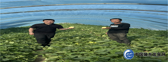 09280536935417072_26.png