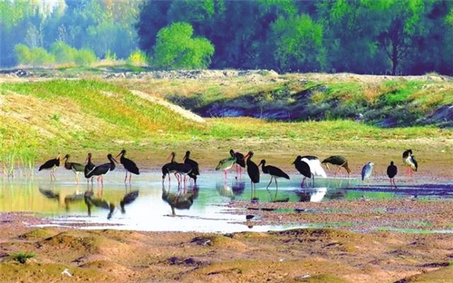 10492476312454365_30.jpg 10492476312454365_30.jpg