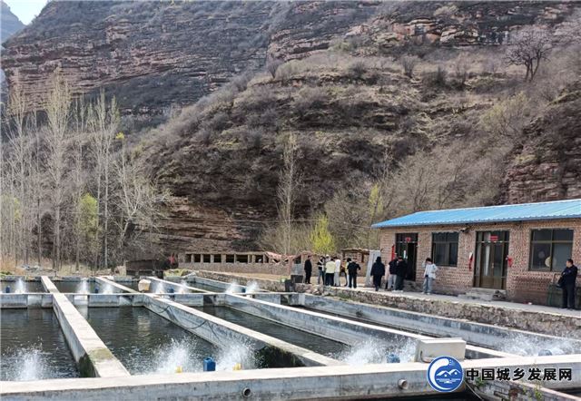 17285614743699454_30.jpg 17285614743699454_30.jpg