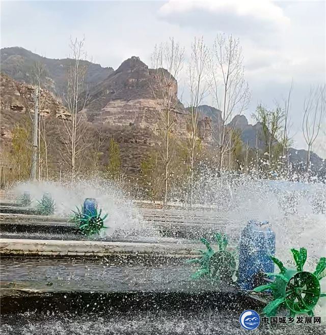 17292503807596976_30.jpg 17292503807596976_30.jpg