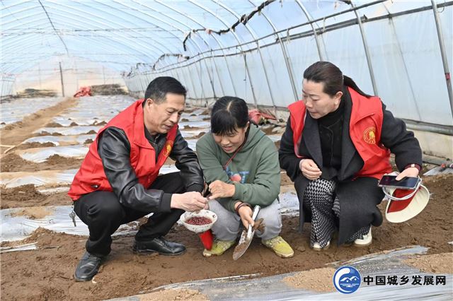 12353378805848416_30.jpg 12353378805848416_30.jpg