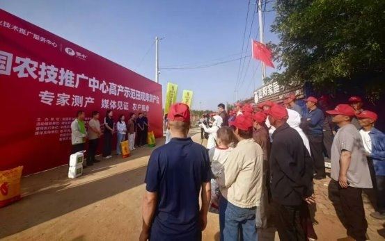 亩产945公斤、亩增收2860元，鄂中仟金方沾化冬枣交出“甜蜜成绩单”