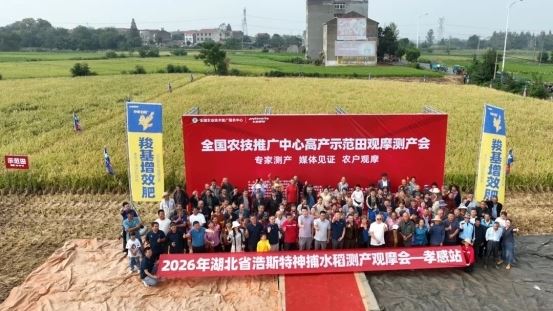 水稻亩增产128斤，浩斯特交出亮眼答卷